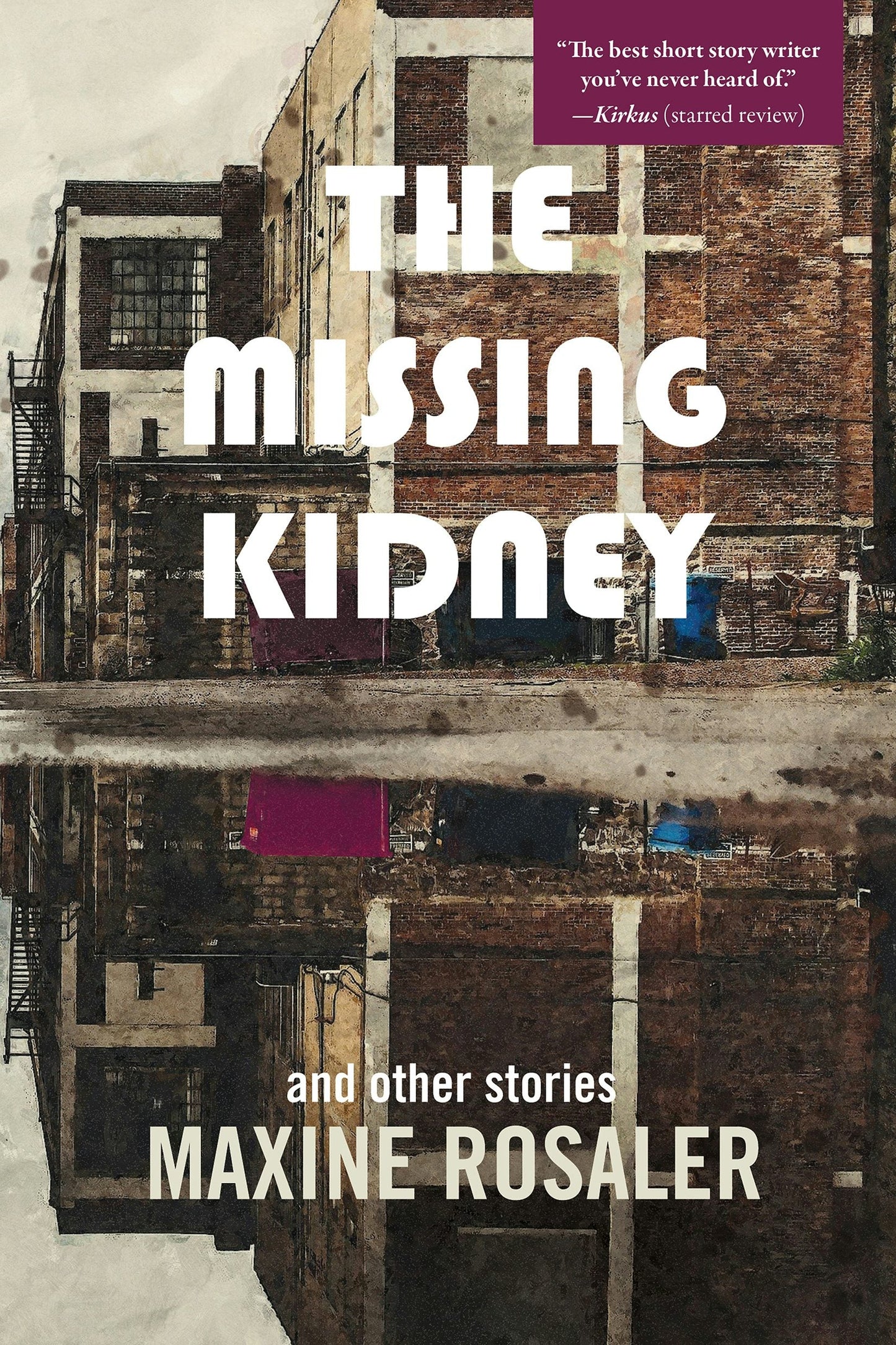 Book cover image for The Missing Kidney and other stories ISBN: 9781953002594