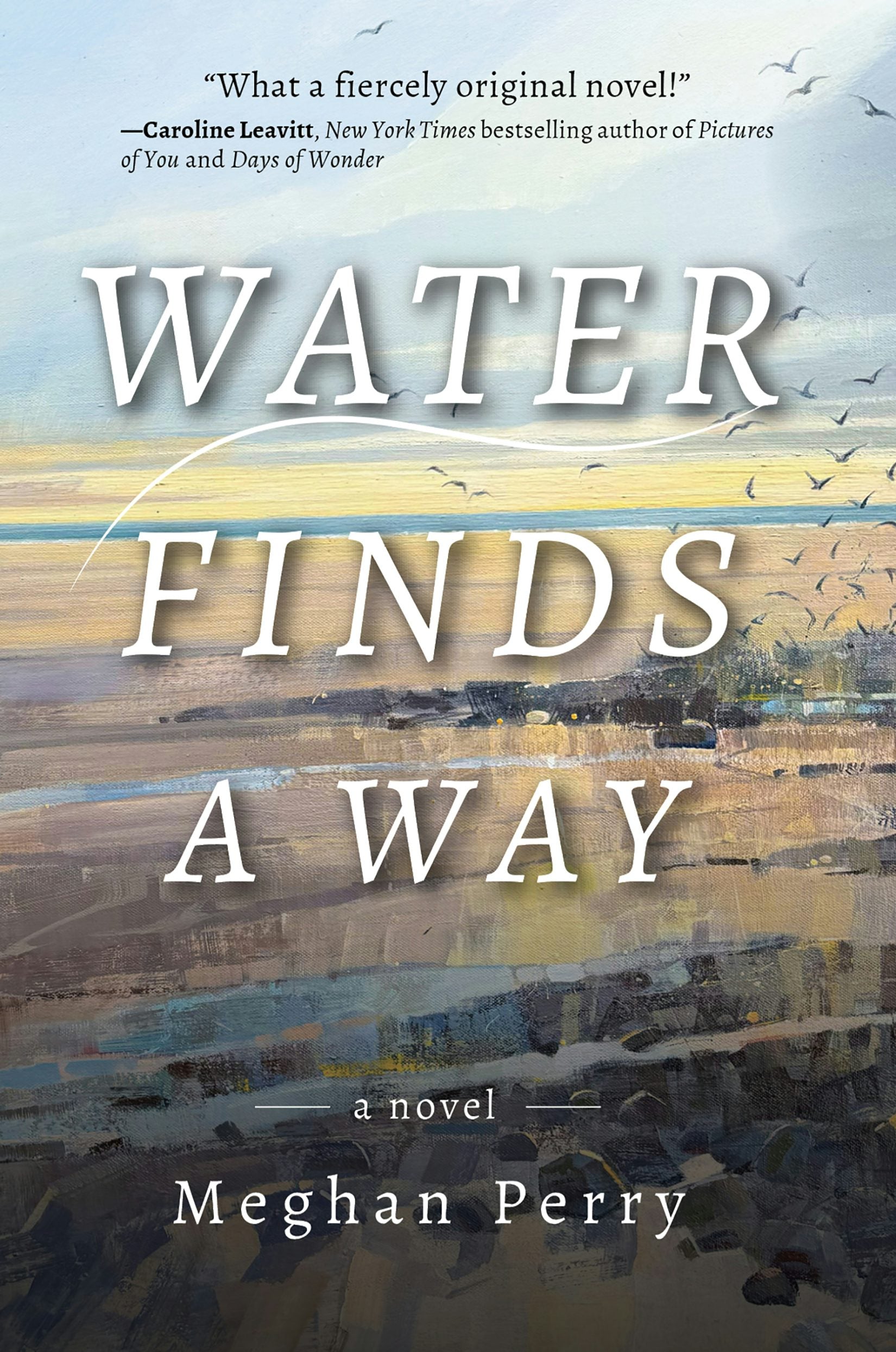 Book cover image for Water Finds a Way a novel ISBN: 9781953002648