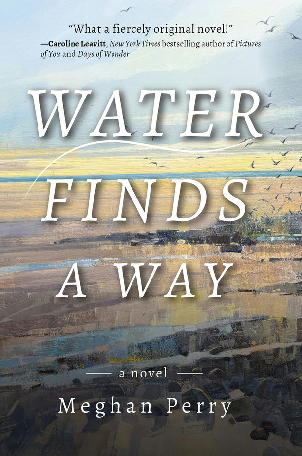 Cover image for Water Finds a Way a novel, isbn: 9781953002648