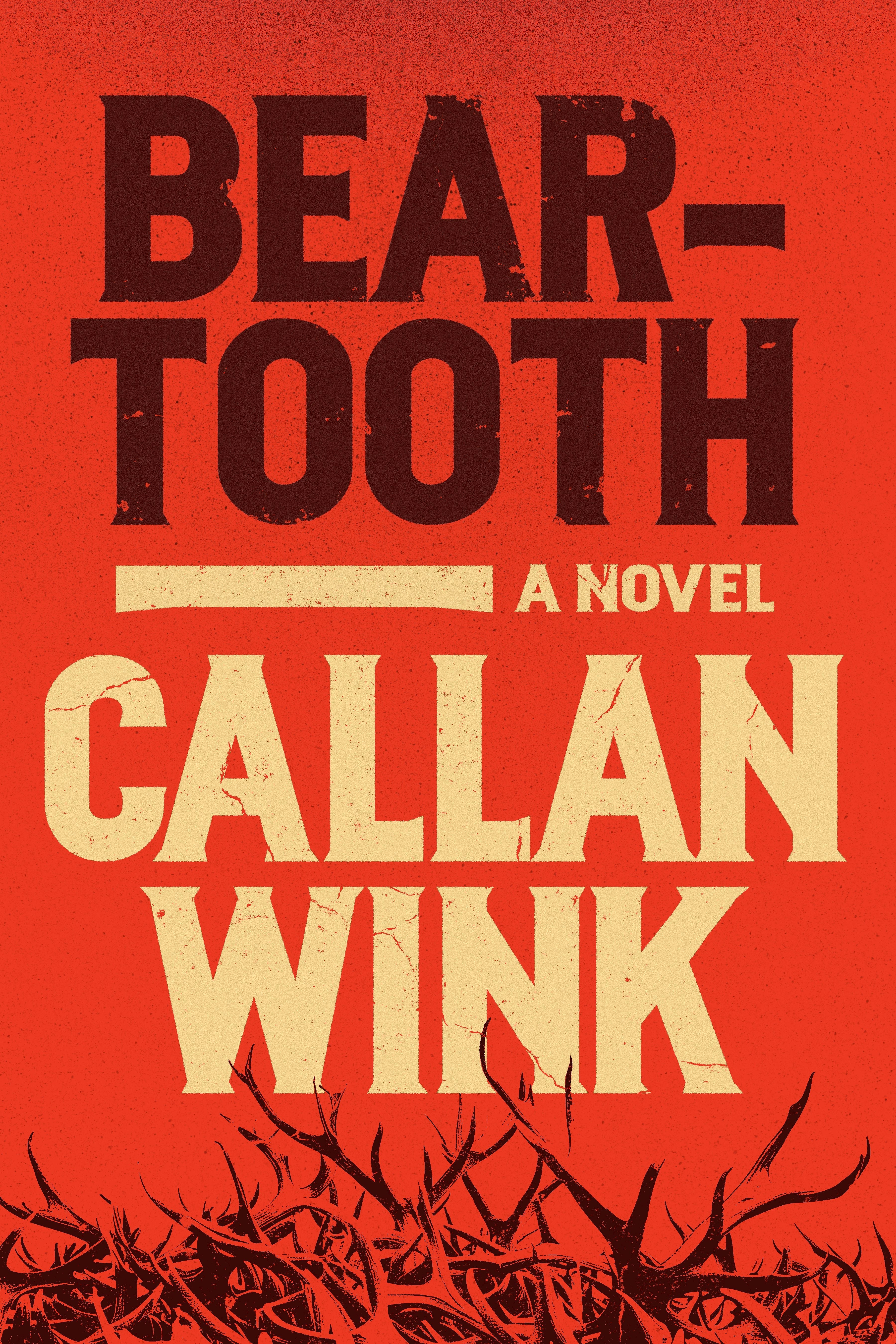 Cover image for Beartooth, isbn: 9781954118416