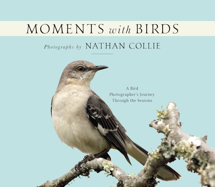 Book cover image for Moments with Birds ISBN: 9781954437500