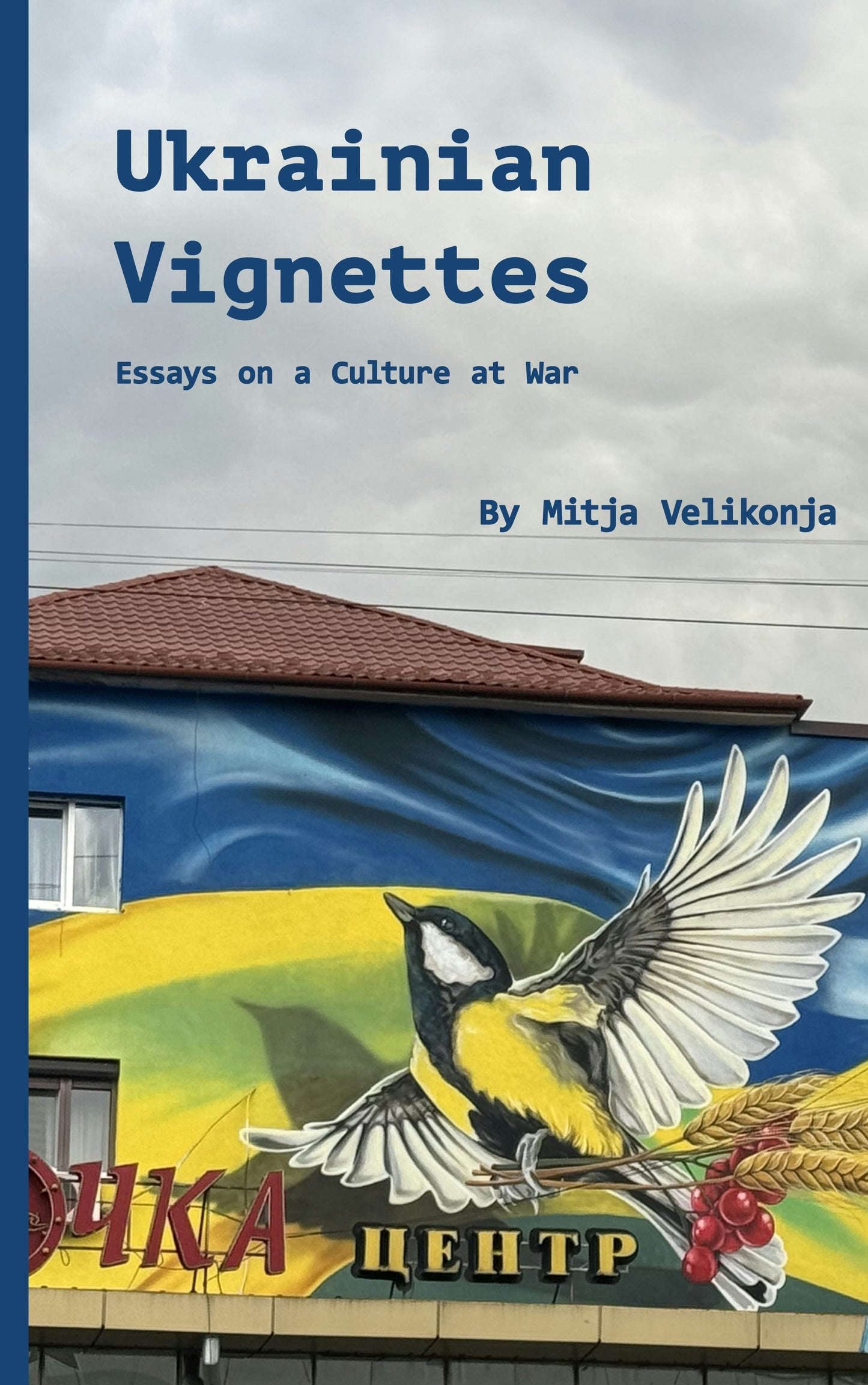 Book cover image for Ukrainian Vignettes ISBN: 9781954600270