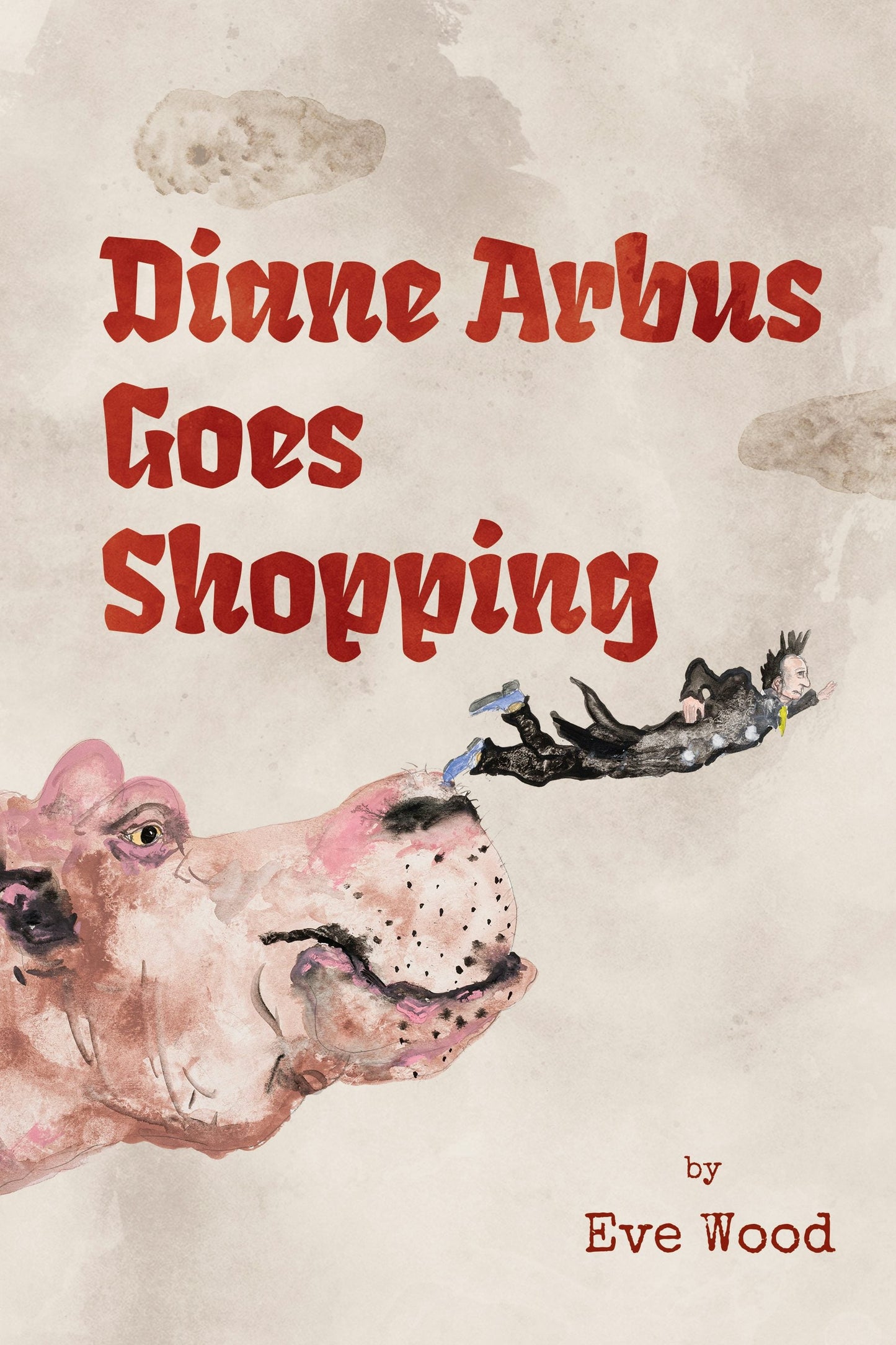 Book cover image for Diane Arbus Goes Shopping ISBN: 9781954600690