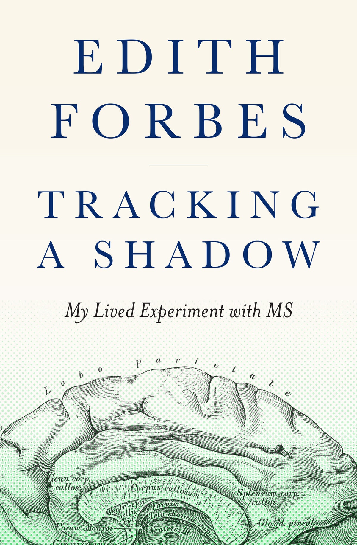 Cover image for Tracking a Shadow ISBN 9781954854246