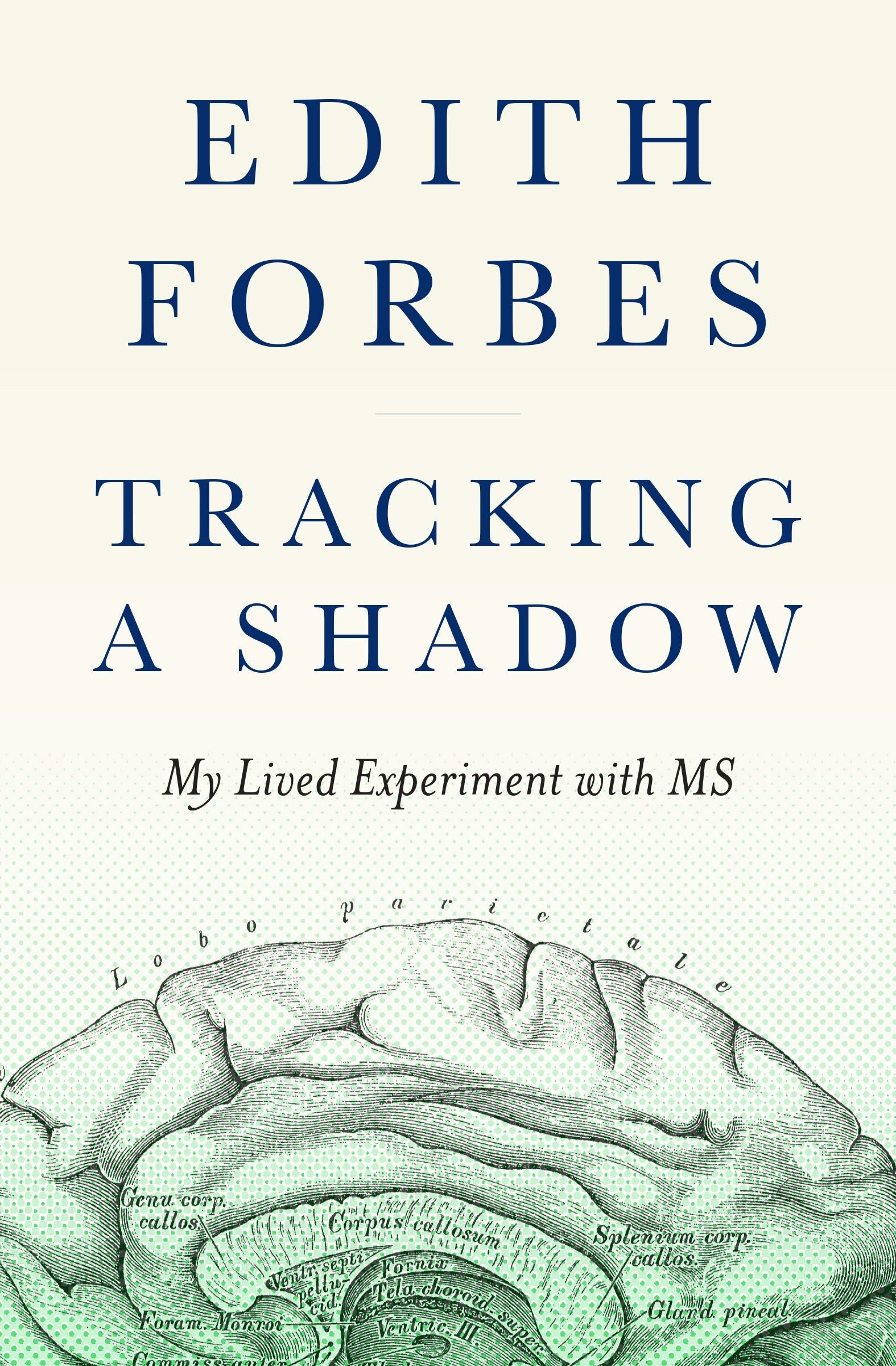 Cover image for Tracking a Shadow, isbn: 9781954854253