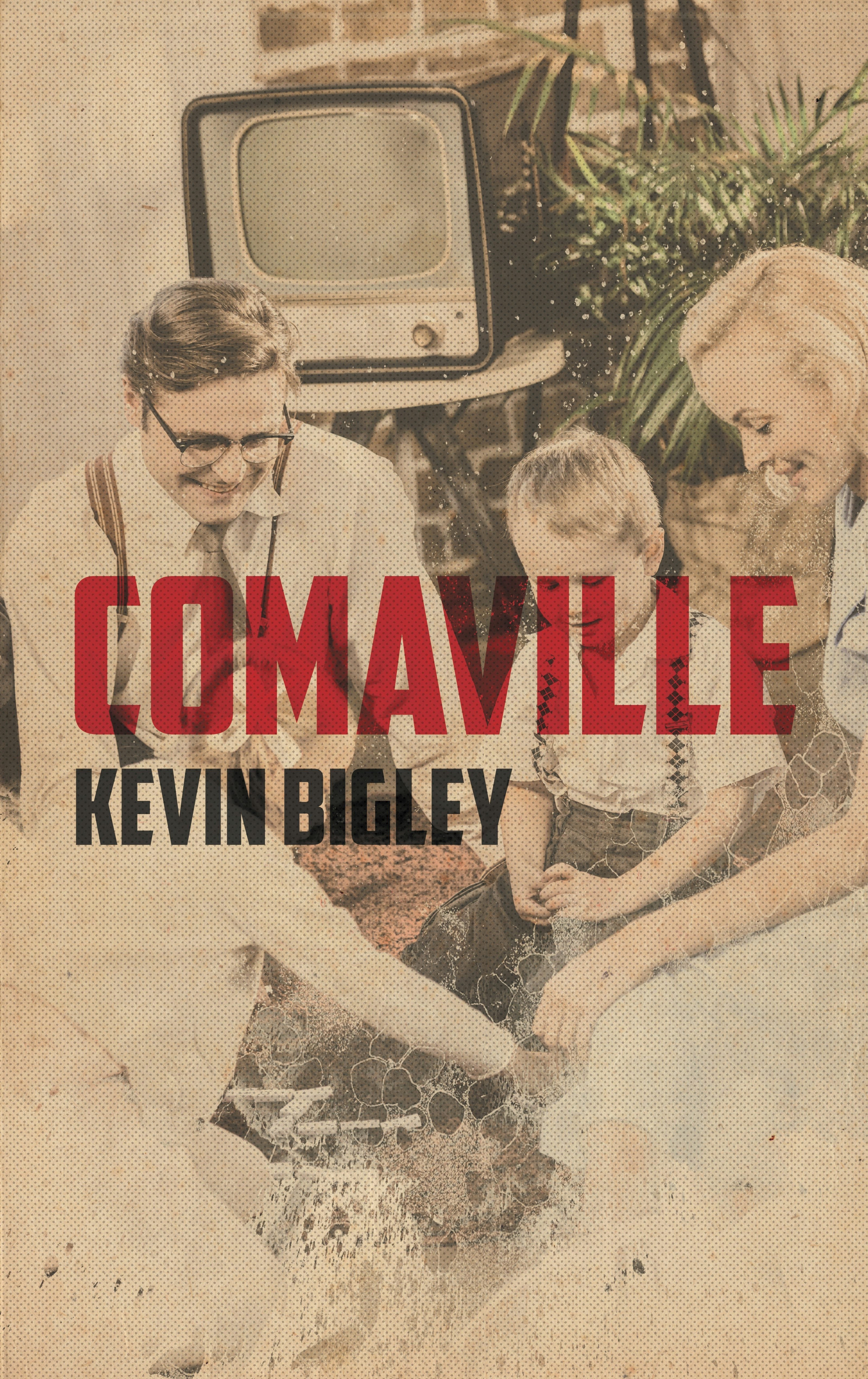 Book cover image for Comaville ISBN: 9781955904421