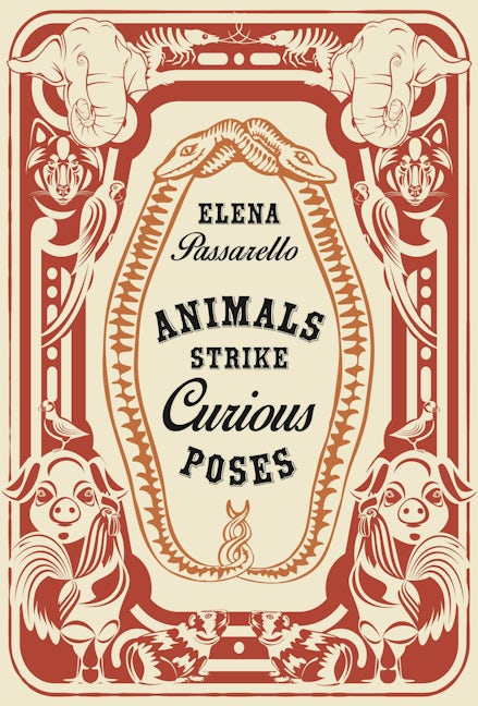 Book cover image for Animals Strike Curious Poses ISBN: 9781956046182