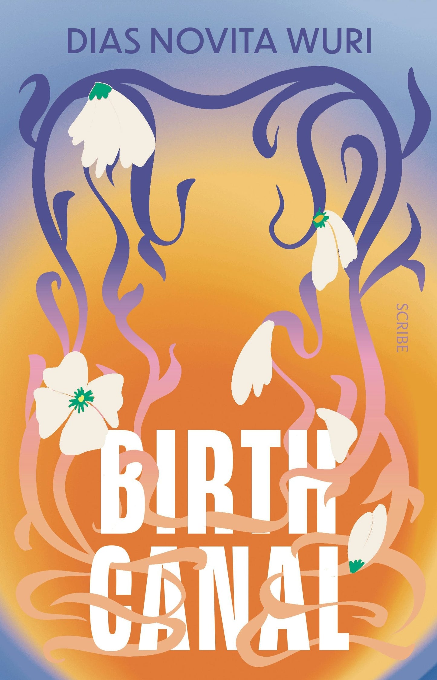 Book cover image for Birth Canal ISBN: 9781957363622