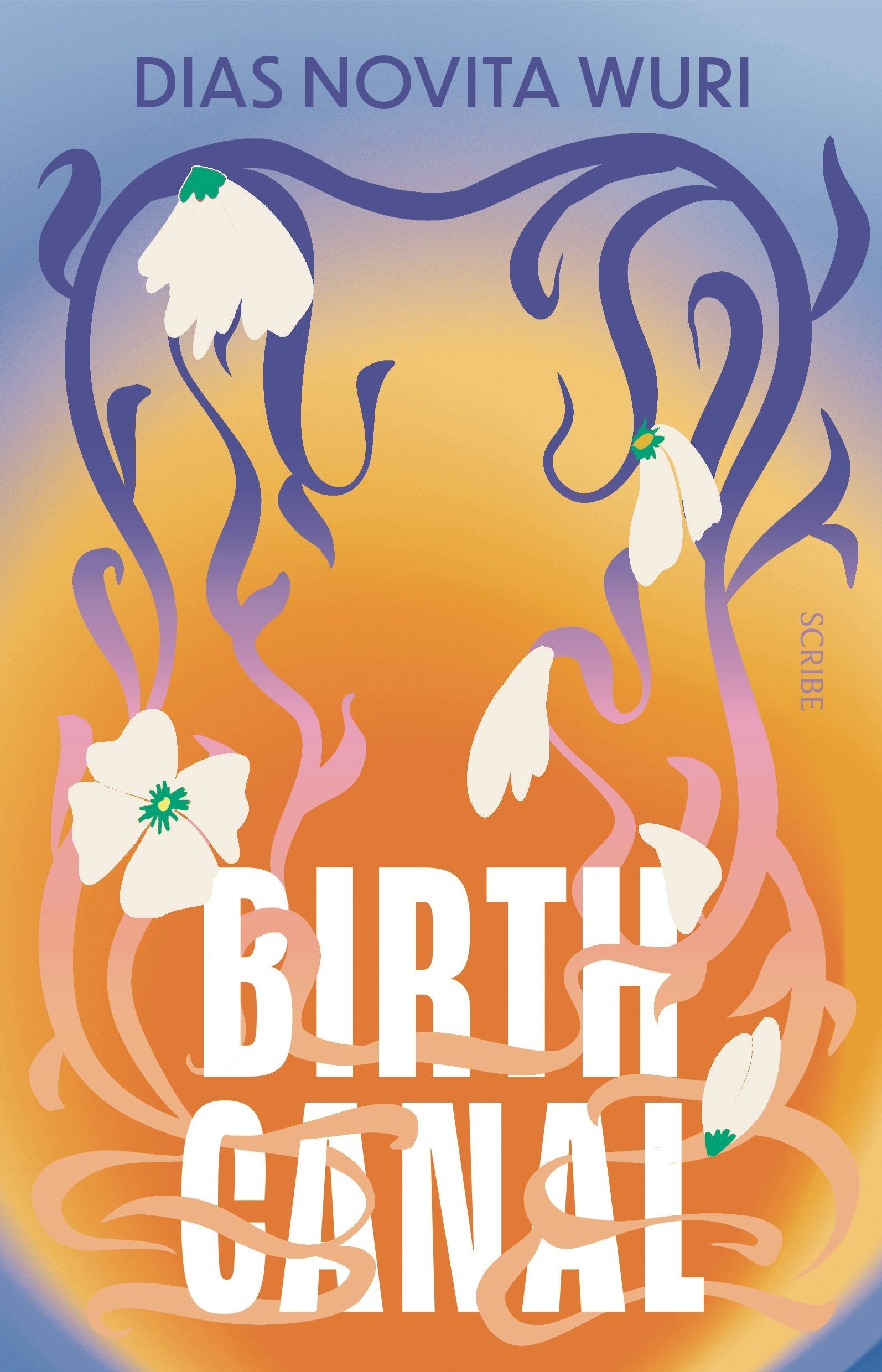 Book cover image for Birth Canal ISBN: 9781957363622