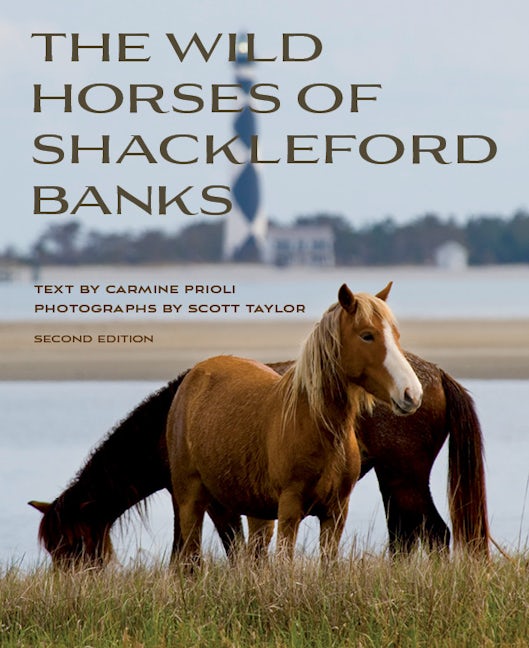 Book cover image for Wild Horses of Shackleford Banks ISBN: 9781958888254