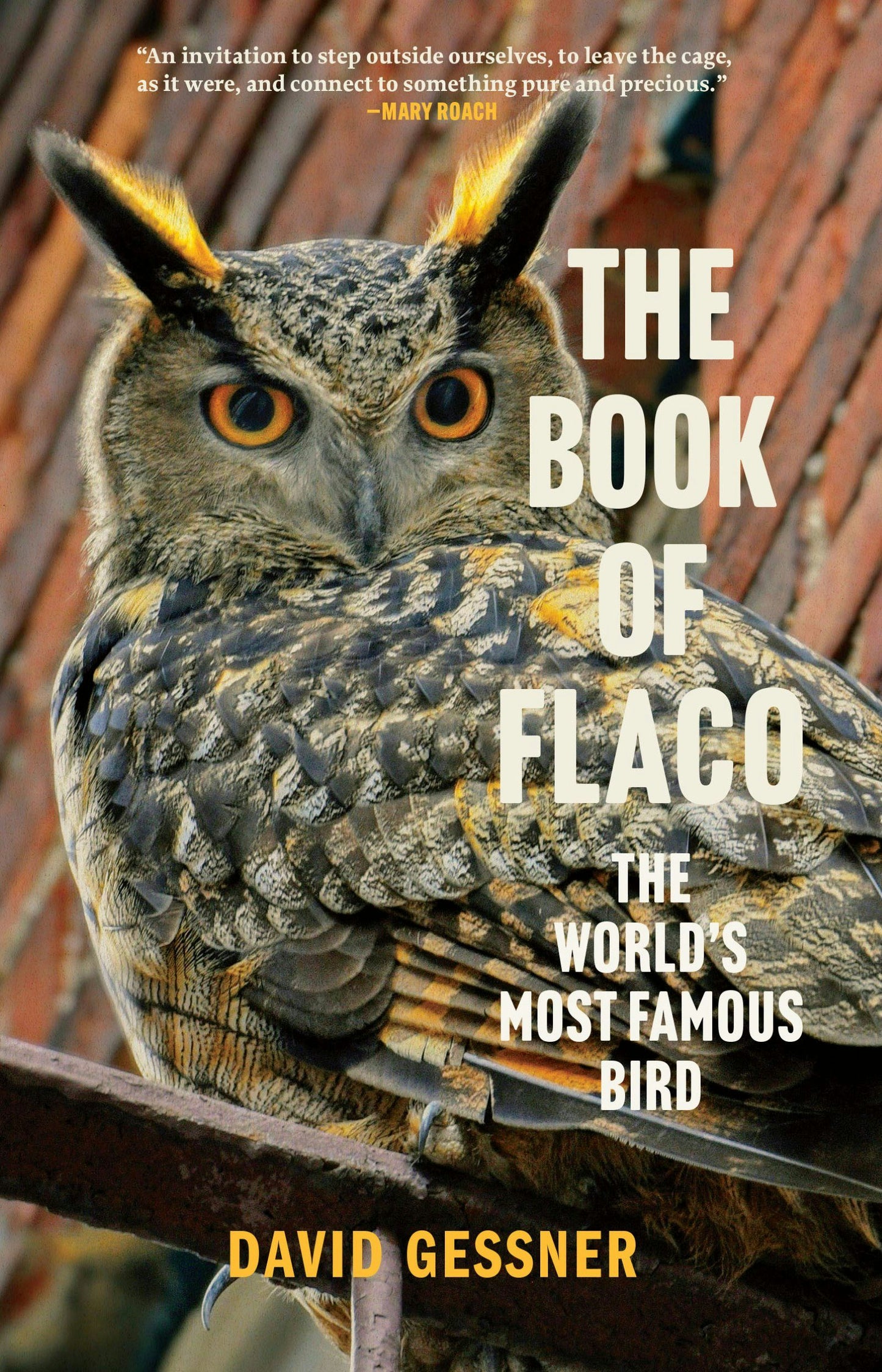 Book cover image for The Book of Flaco ISBN: 9781958888476