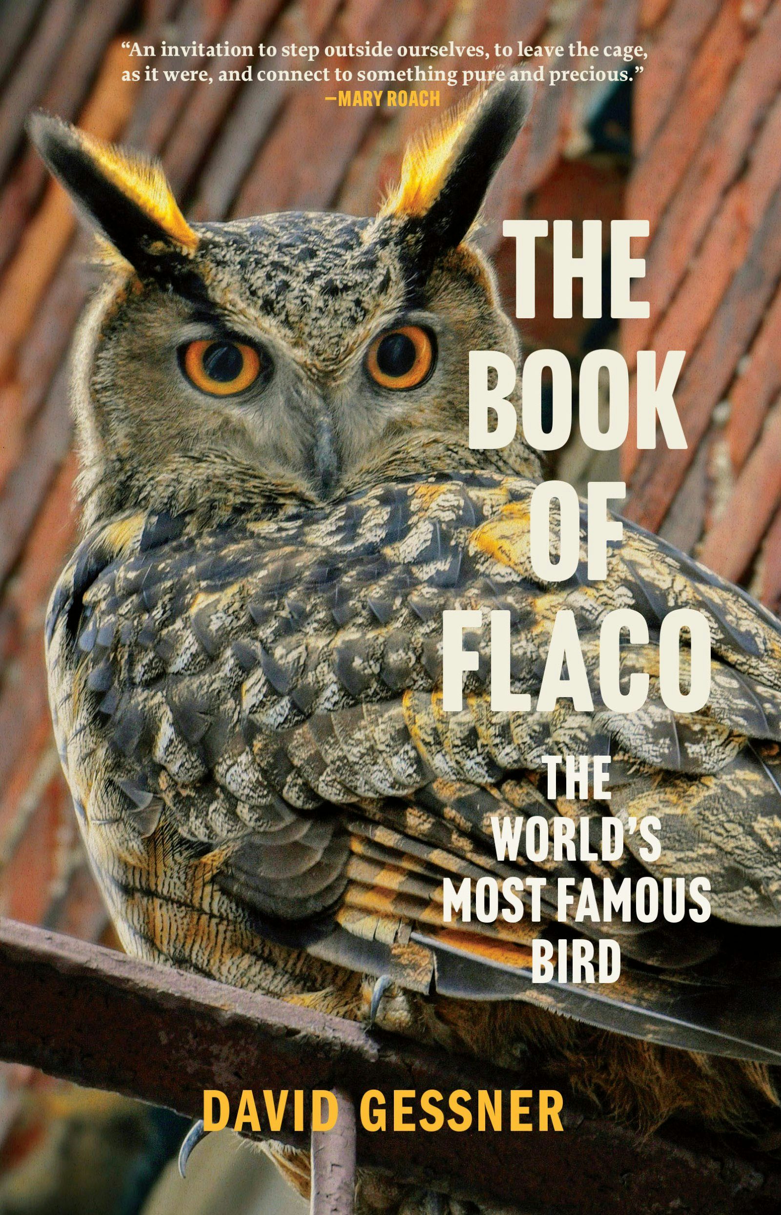 Book cover image for The Book of Flaco ISBN: 9781958888476
