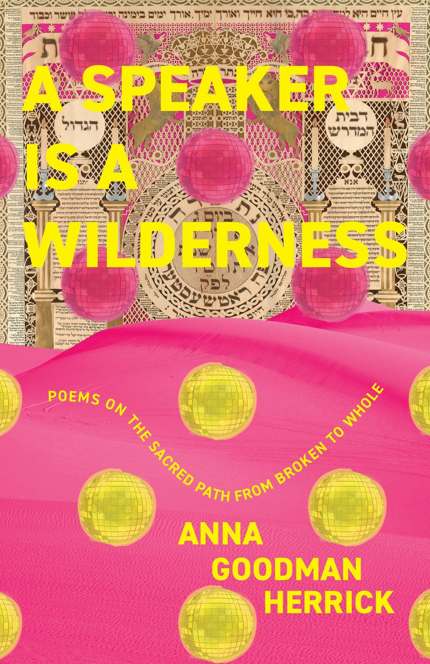 Book cover image for A Speaker is a Wilderness ISBN: 9781958972380