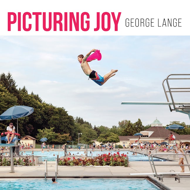 Book cover image for Picturing Joy ISBN: 9781959411352
