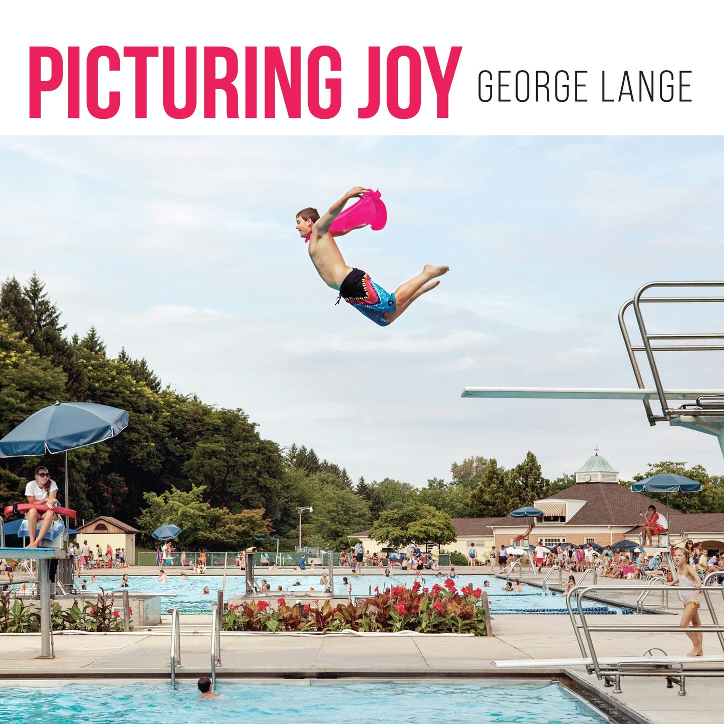 Book cover image for Picturing Joy ISBN: 9781959411369