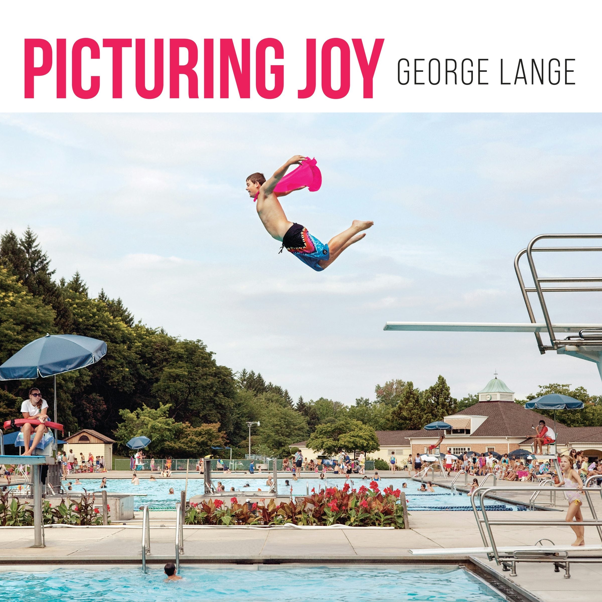 Book cover image for Picturing Joy ISBN: 9781959411369