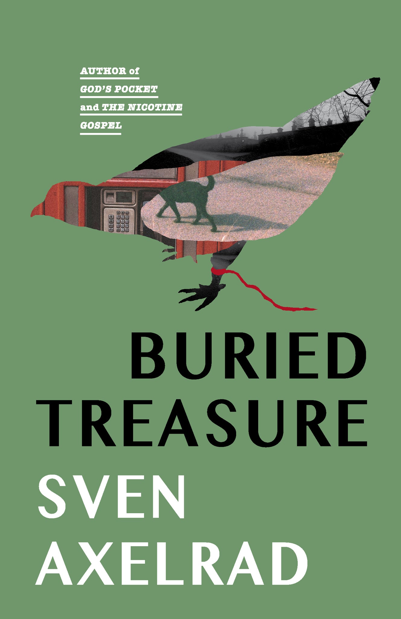 Cover image for Buried Treasure ISBN 9781960803597