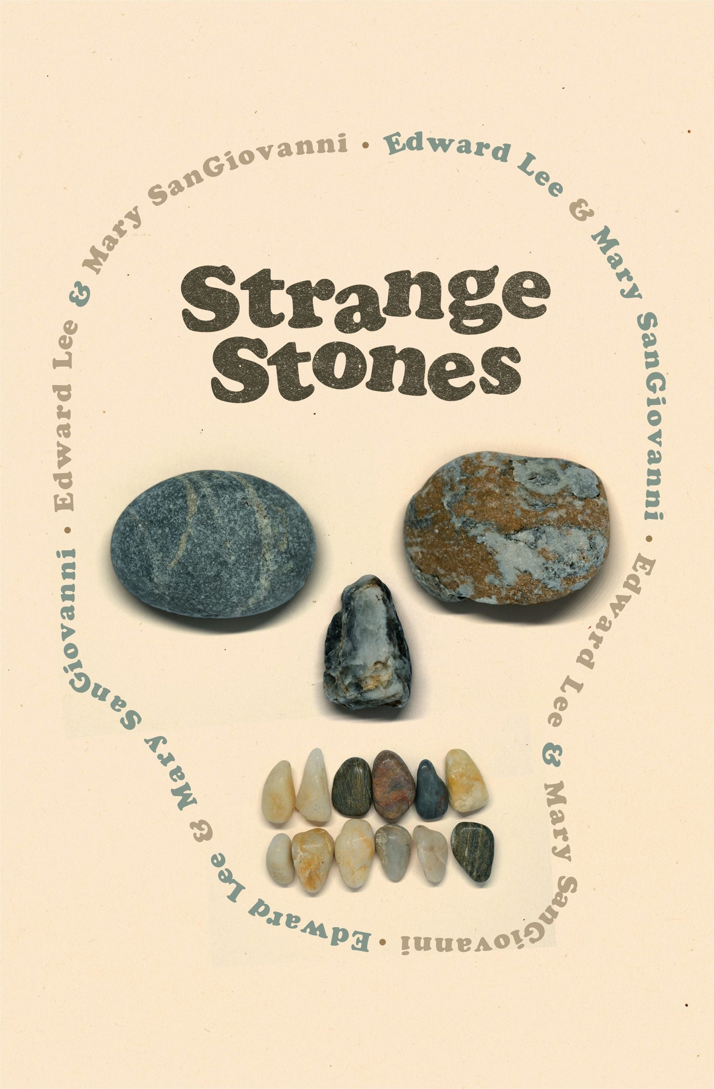 Book cover image for Strange Stones ISBN: 9781960988768