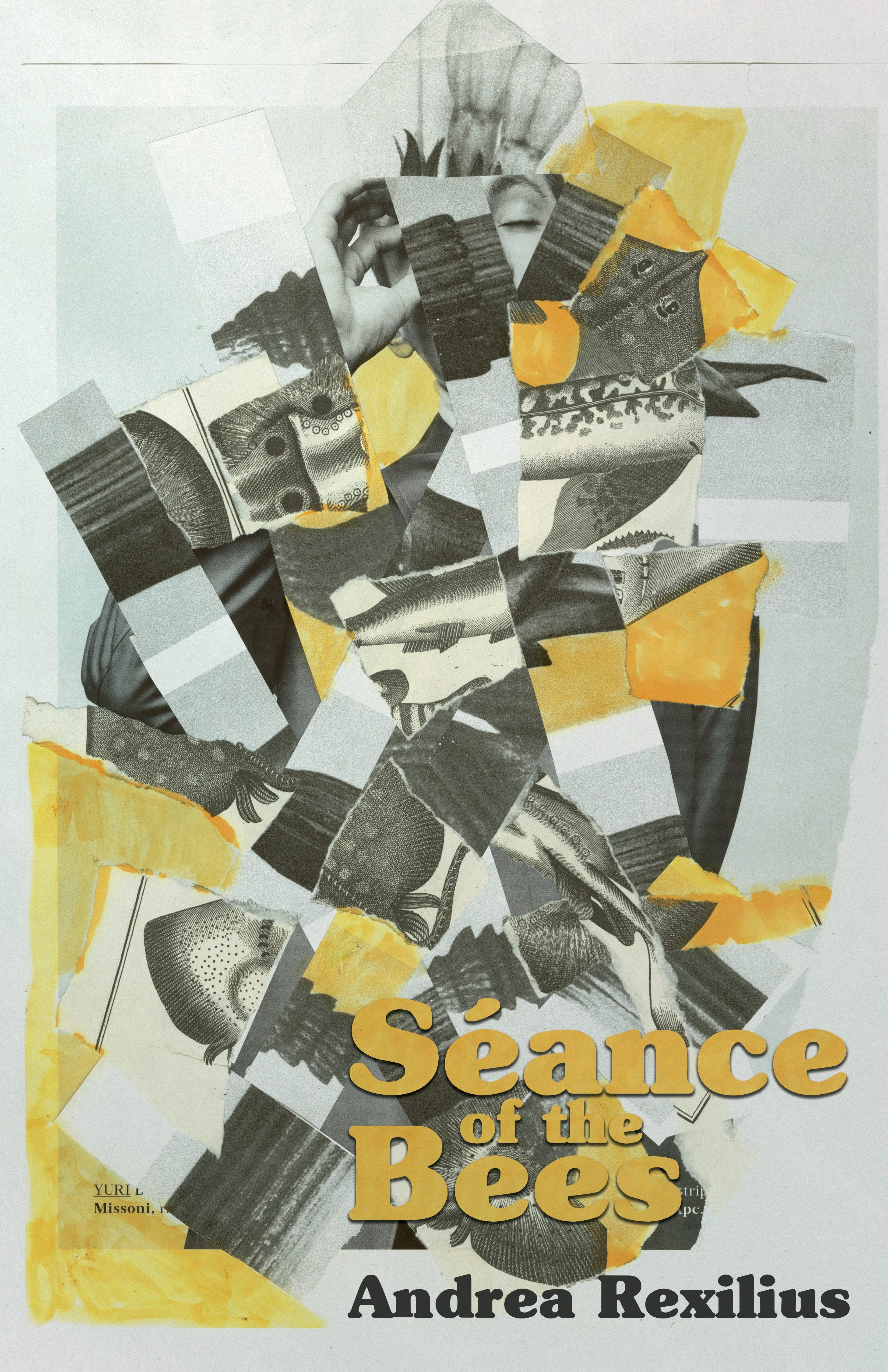 Book cover image for Séance of the Bees ISBN: 9781960988898