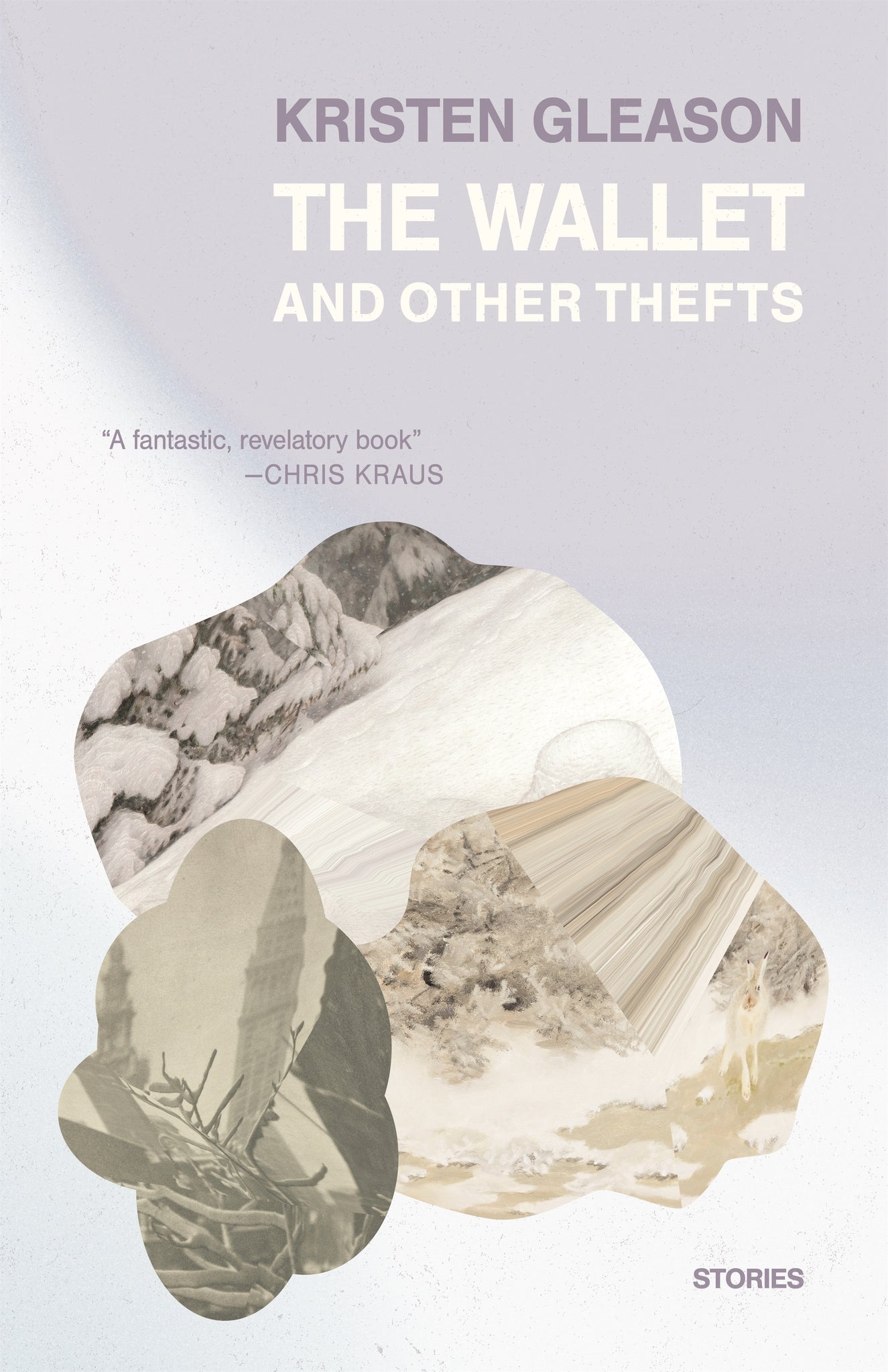 Cover image for The Wallet and Other Thefts ISBN 9781964499673