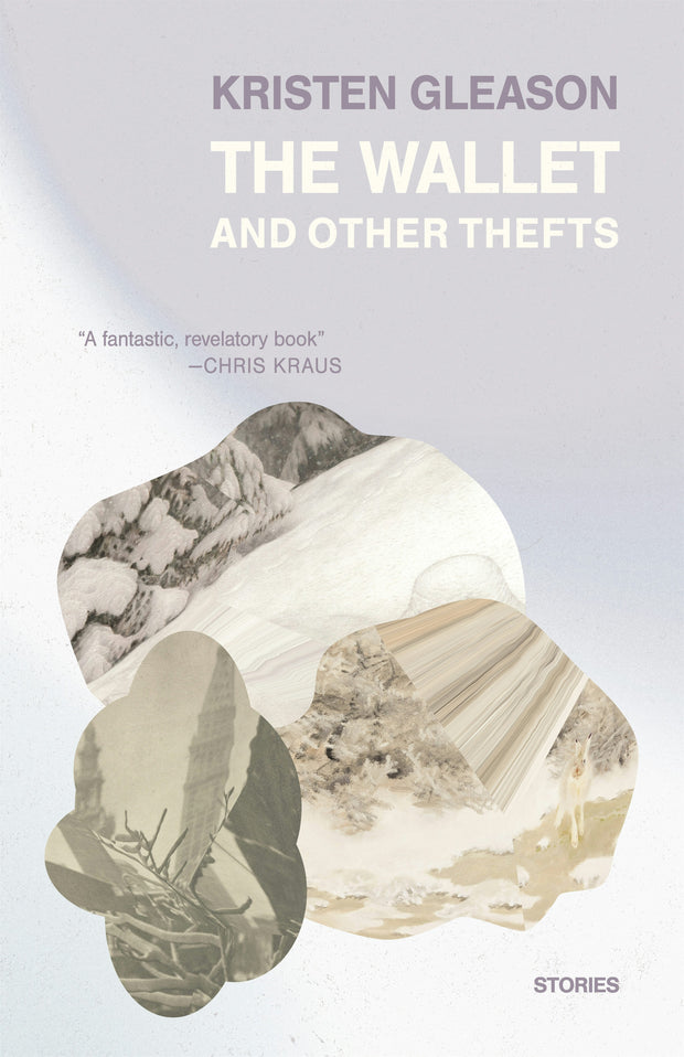 Cover image for The Wallet and Other Thefts, isbn: 9781964499680
