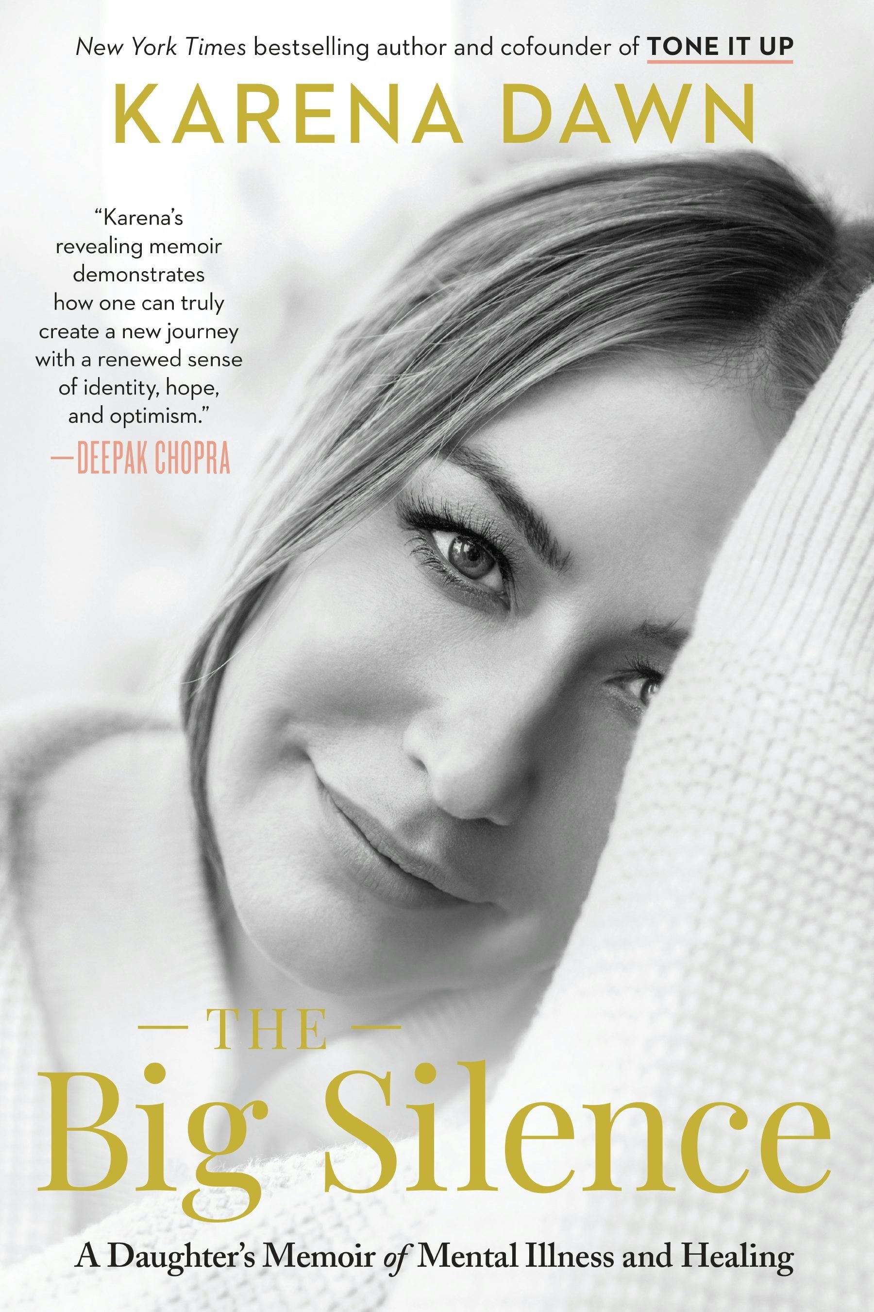 Book cover image for The Big Silence ISBN: 9781964721996