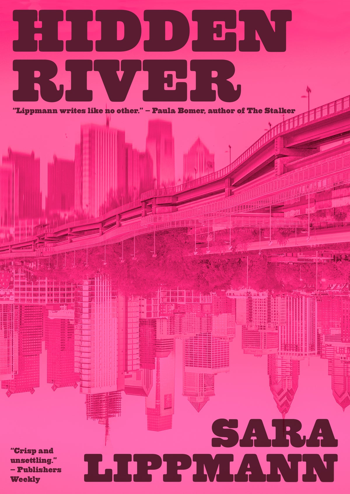 Cover image for Hidden River ISBN 9781965199251