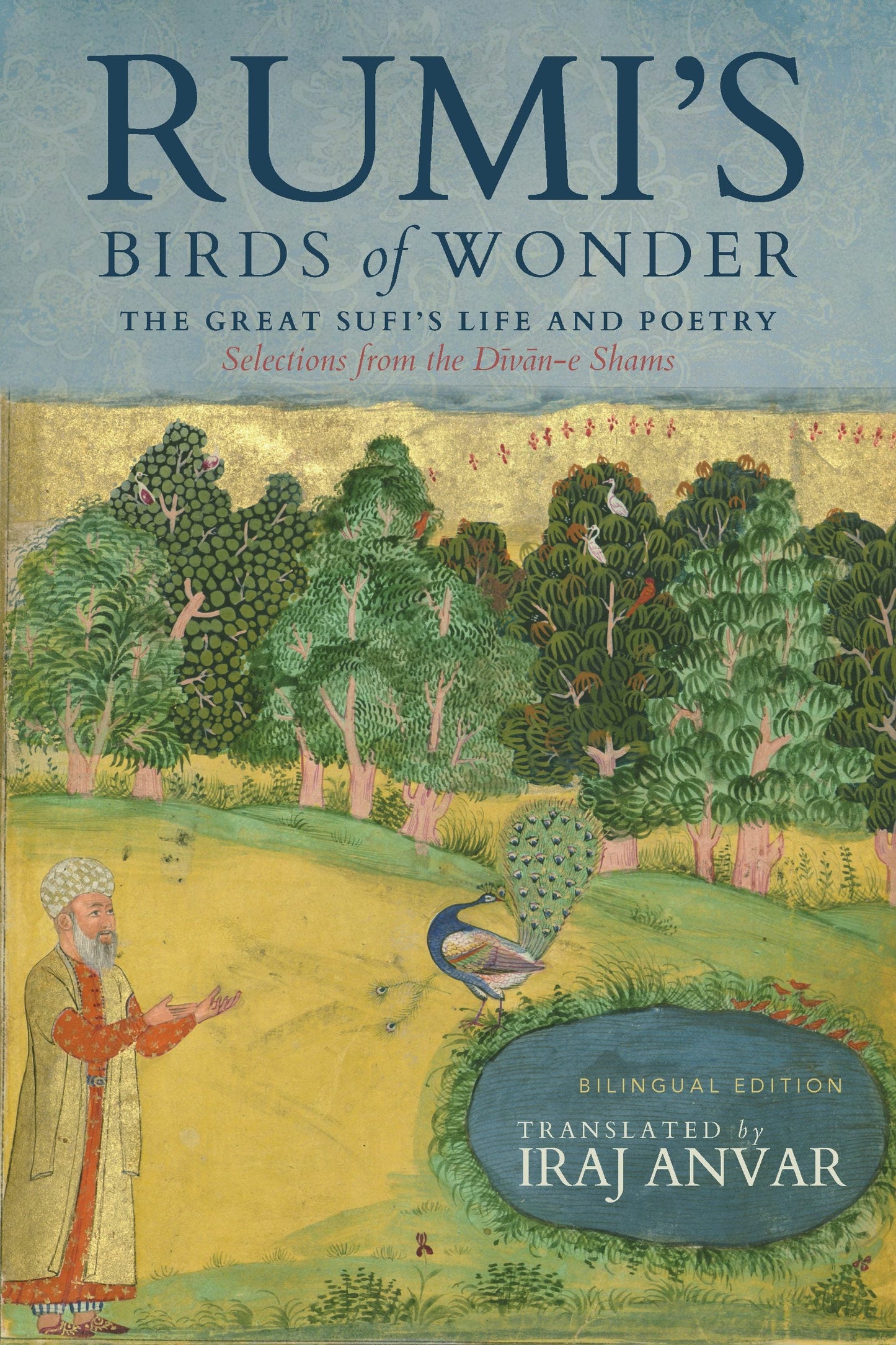 Book cover image for Rumi’s Birds of Wonder ISBN: 9781966608349