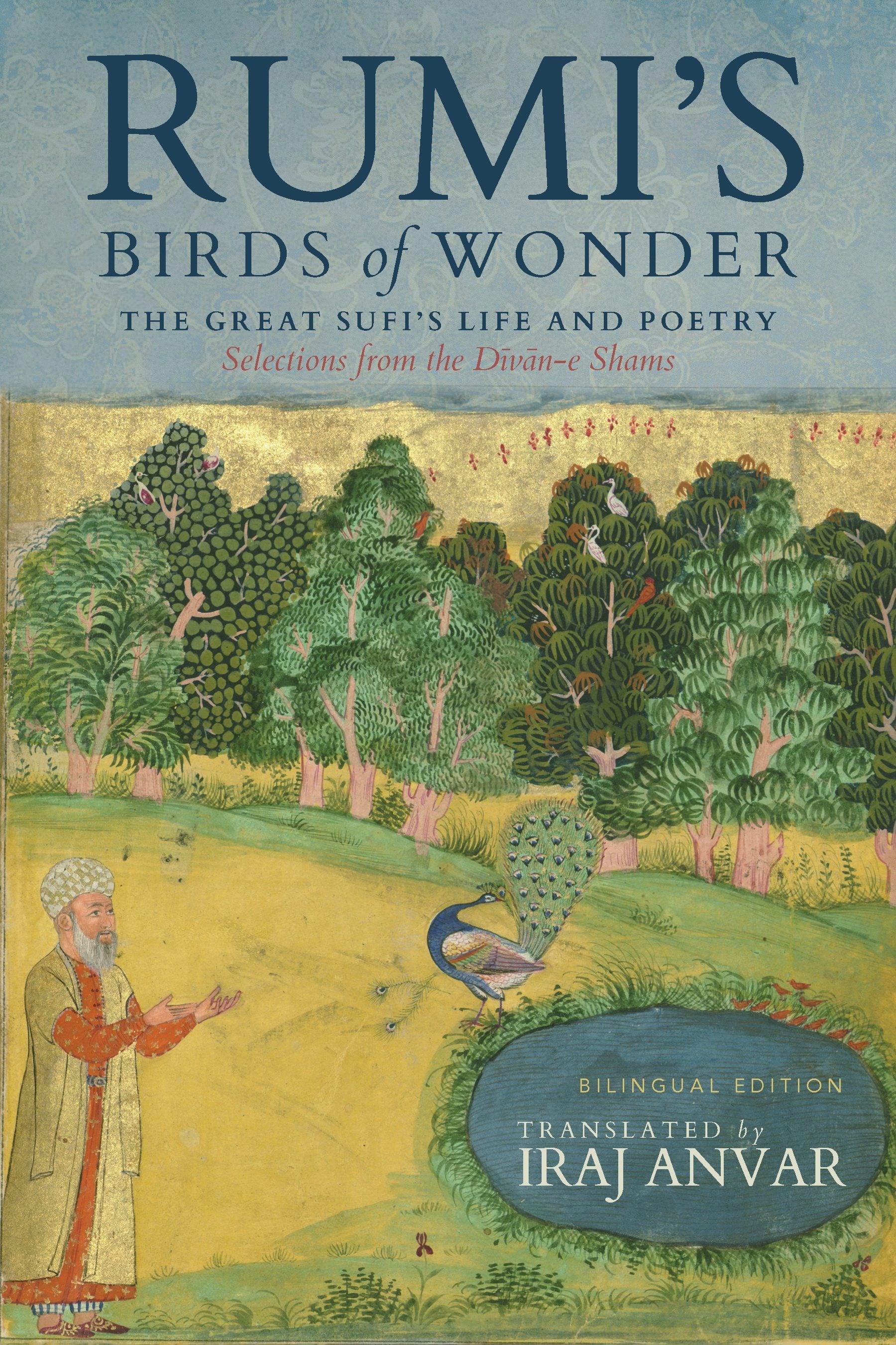 Book cover image for Rumi’s Birds of Wonder ISBN: 9781966608349