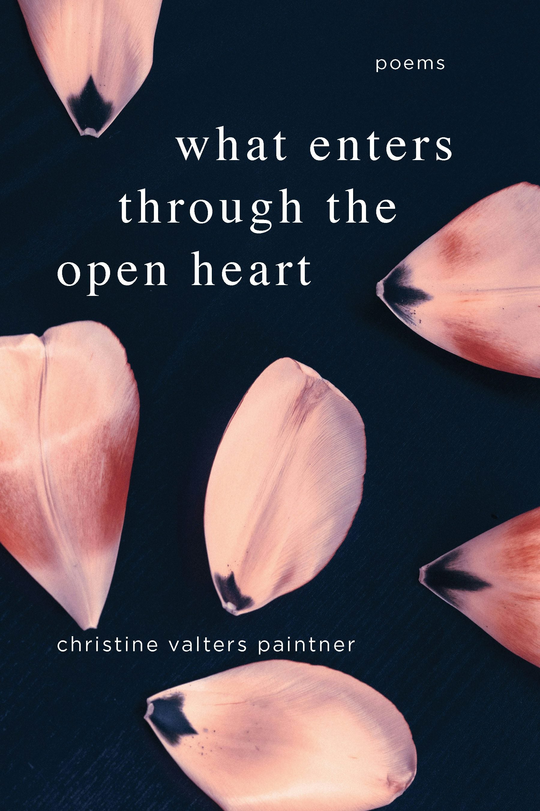 Book cover image for What Enters through the Open Heart ISBN: 9781966608561