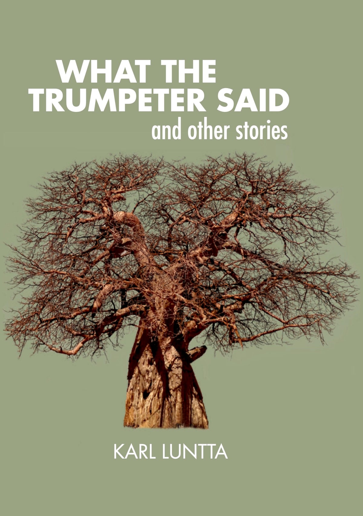 Cover image for What the Trumpeter Said ISBN 9781967673100