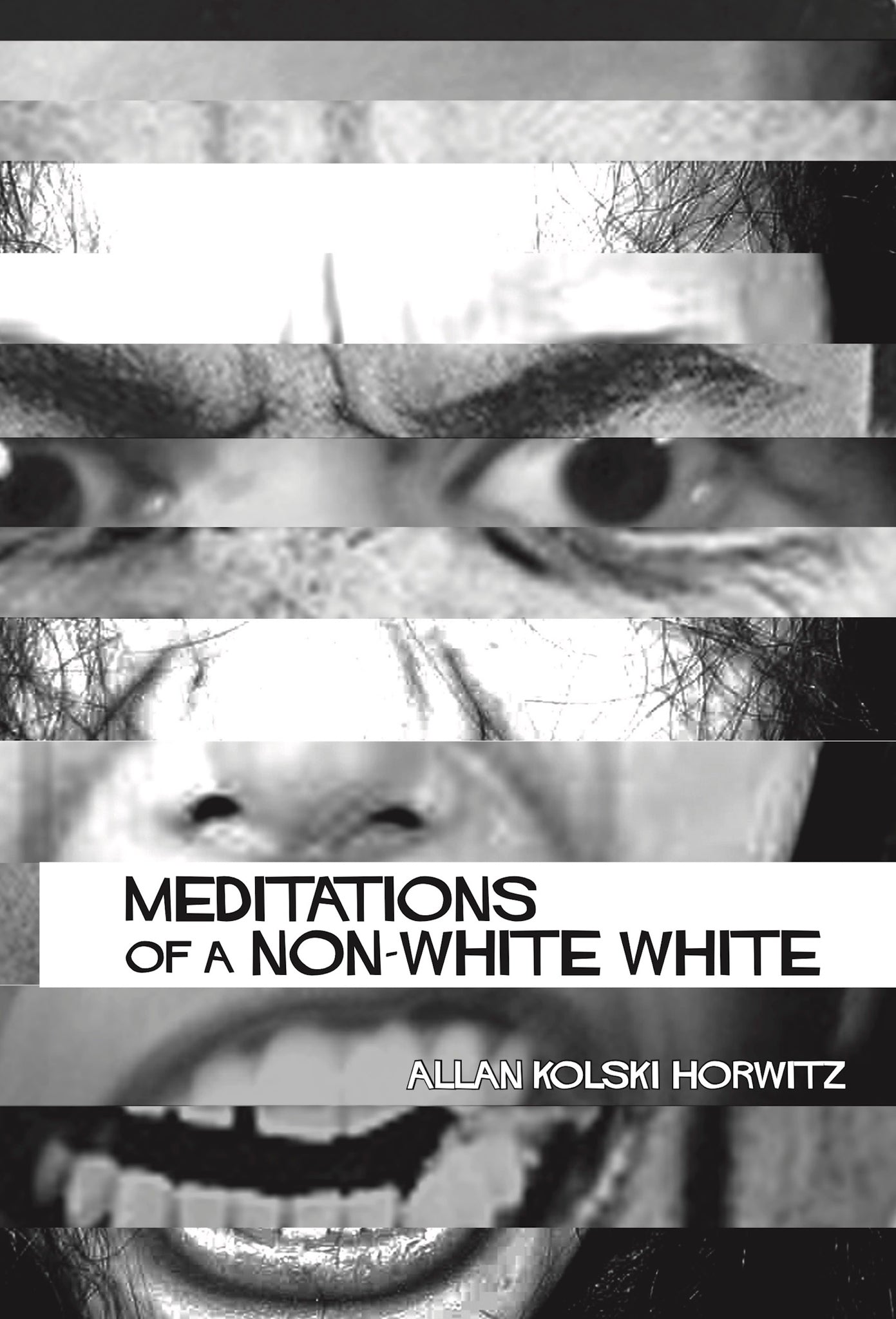 Cover image for Meditations of a Non-White White ISBN 9781967673124