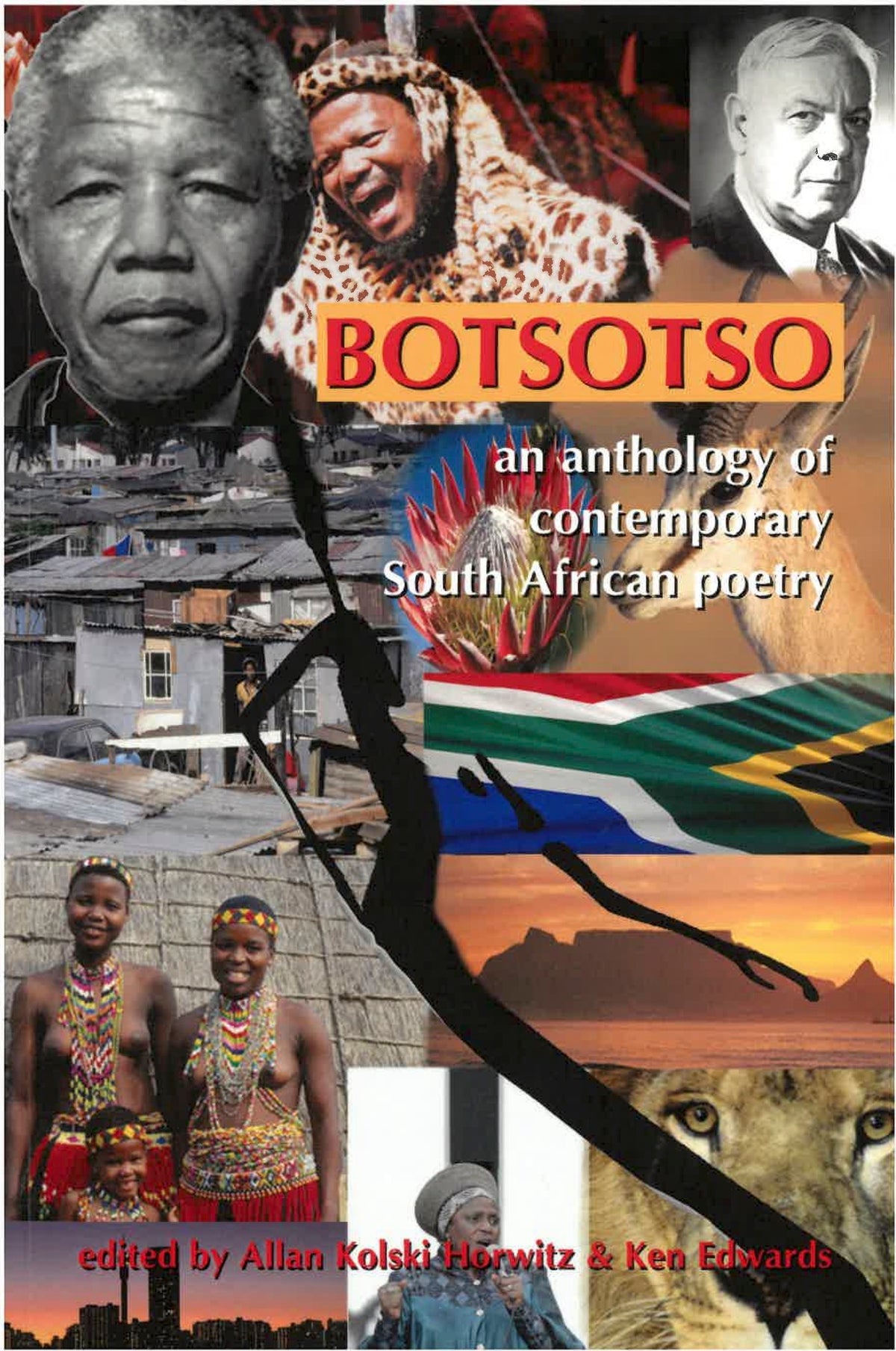 Cover image for Botsotso ISBN 9781967673148