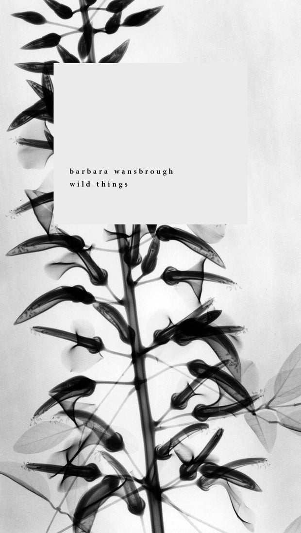 Cover image for Wild Things, isbn: 9781967751044