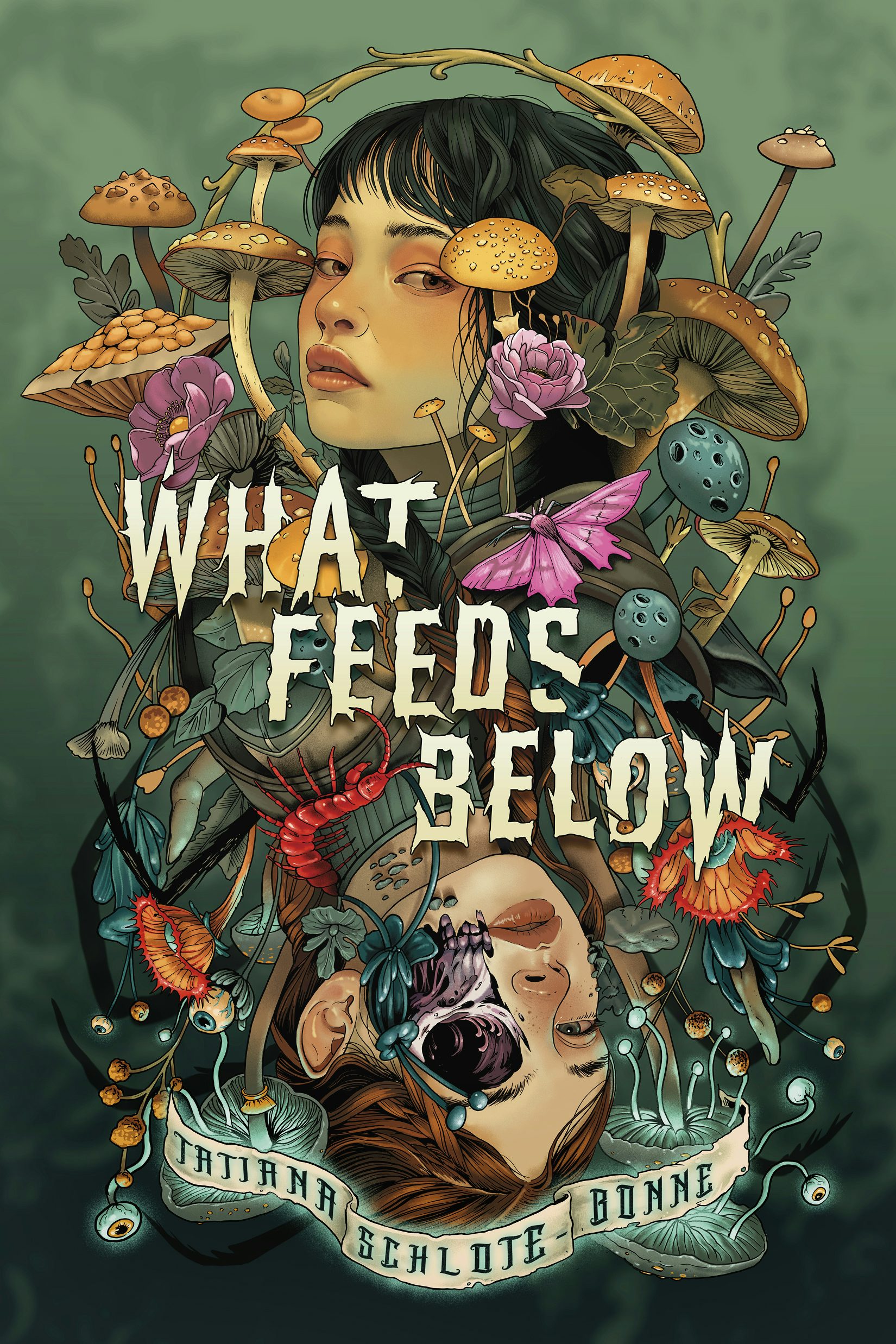 What Feeds Below