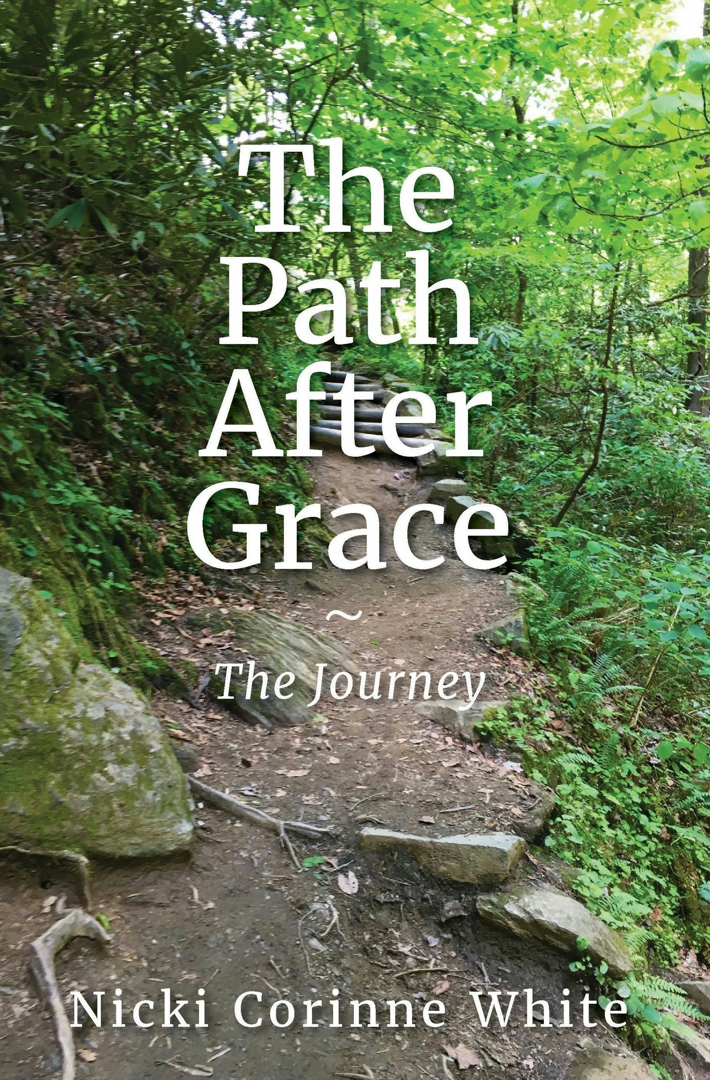 Book cover image for The Path After Grace ISBN: 9781968127060