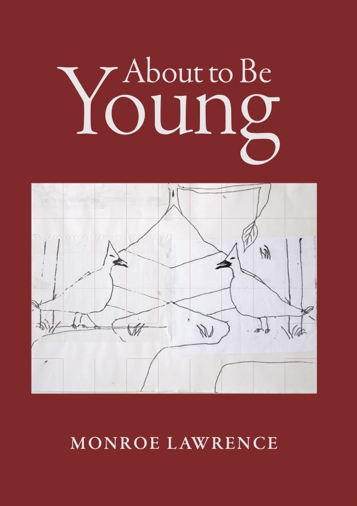 Book cover image for About to Be Young ISBN: 9781988979427