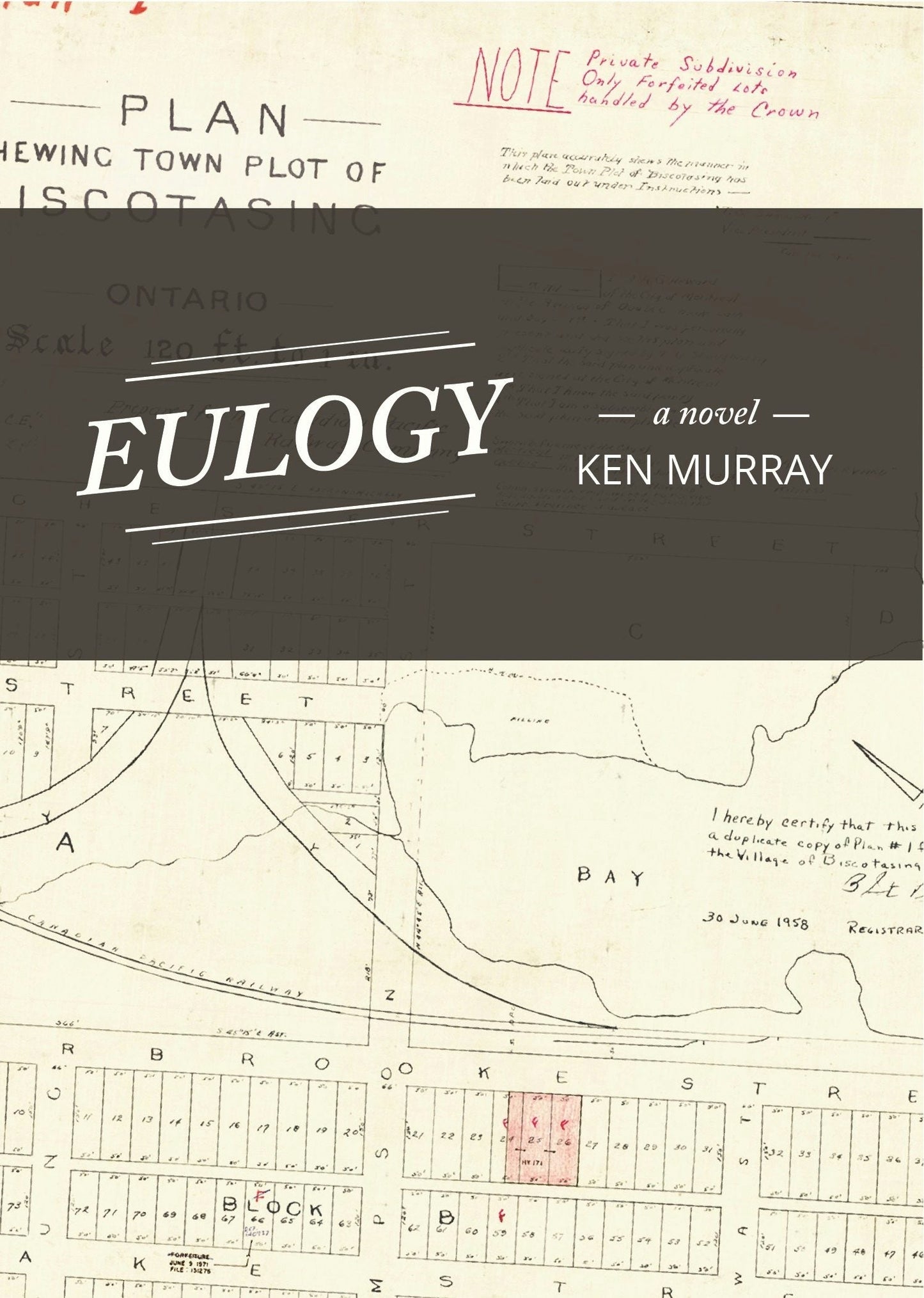 Book cover image for Eulogy ISBN: 9781998336111