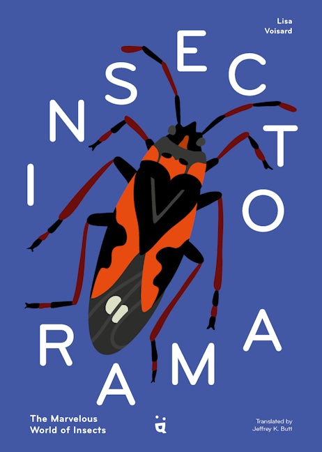 Book cover image for Insectorama ISBN: 9783039640164