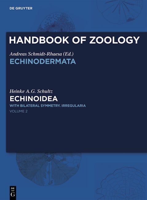 Echinoidea