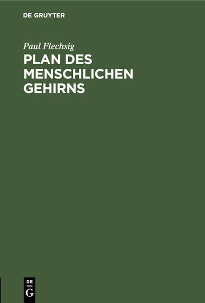 Plan des menschlichen Gehirns