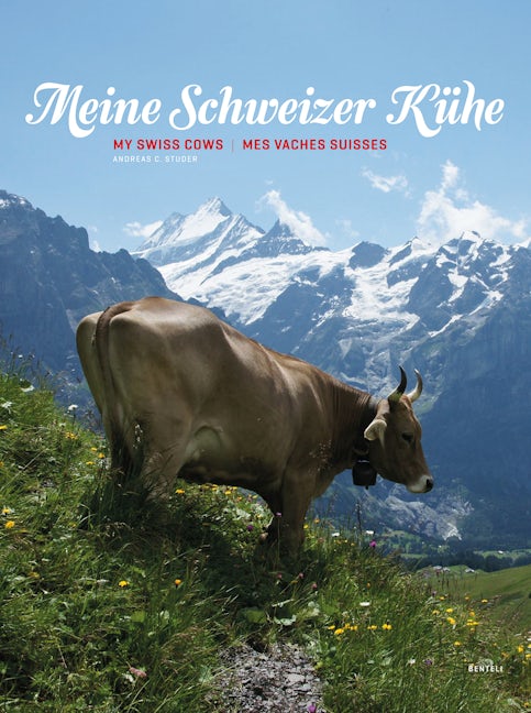 My Swiss Cows
