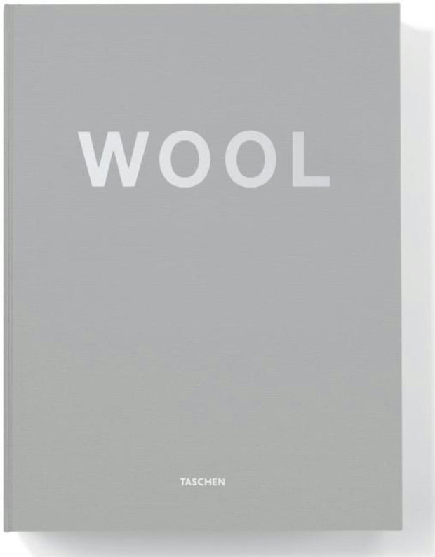 Cover image for Christopher Wool, isbn: 9783822808511