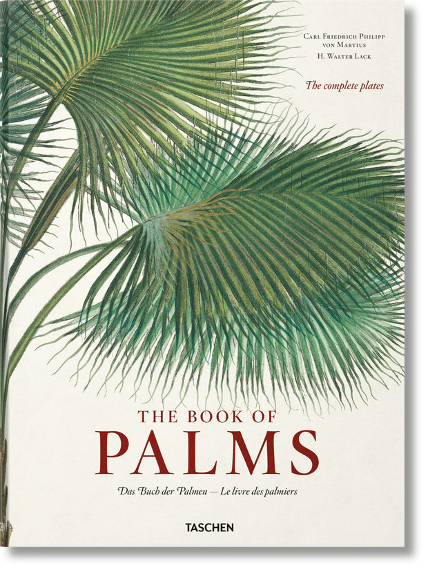 Cover image for Martius. The Book of Palms, isbn: 9783836566148