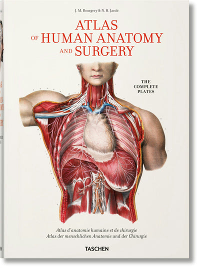 Cover image for Bourgery. Atlas of Human Anatomy and Surgery, isbn: 9783836568982