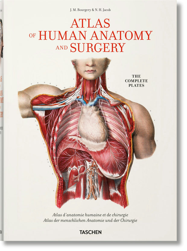 Cover image for Bourgery. Atlas of Human Anatomy and Surgery, isbn: 9783836568982