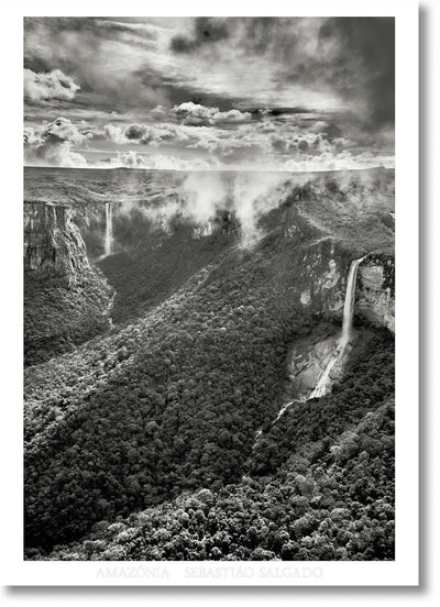 Cover image for Sebastião Salgado. Amazônia. Poster ‘Waterfalls’, isbn: 9783836589703