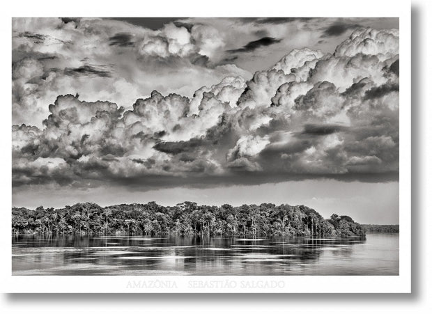 Cover image for Sebastião Salgado. Amazônia. Poster ‘Parana’, isbn: 9783836589727