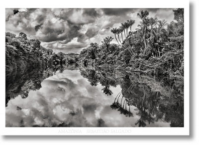 Cover image for Sebastião Salgado. Amazônia. Poster ‘Jau River’, isbn: 9783836589765