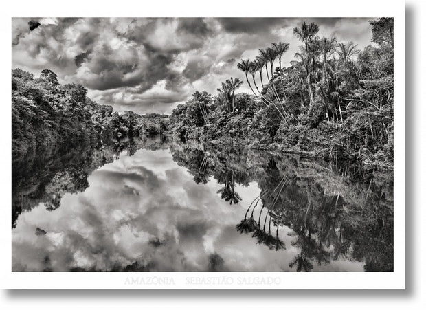 Cover image for Sebastião Salgado. Amazônia. Poster ‘Jau River’, isbn: 9783836589765